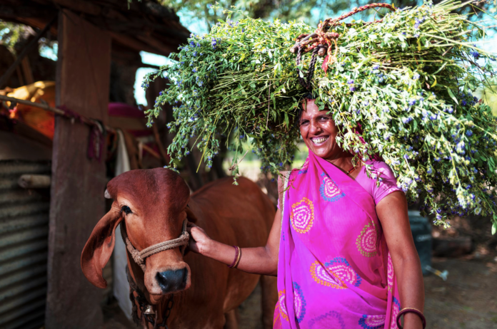 dairy farmer